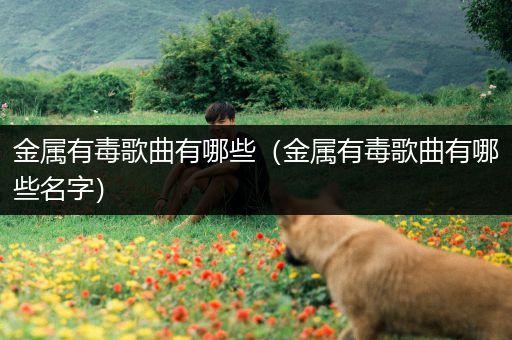 金属有毒歌曲有哪些（金属有毒歌曲有哪些名字）