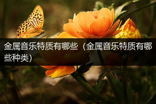 金属音乐特质有哪些（金属音乐特质有哪些种类）