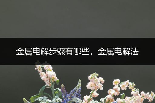 金属电解步骤有哪些，金属电解法