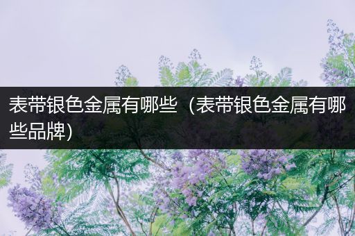 表带银色金属有哪些（表带银色金属有哪些品牌）