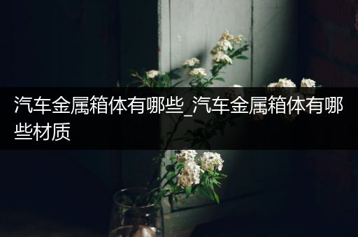 汽车金属箱体有哪些_汽车金属箱体有哪些材质