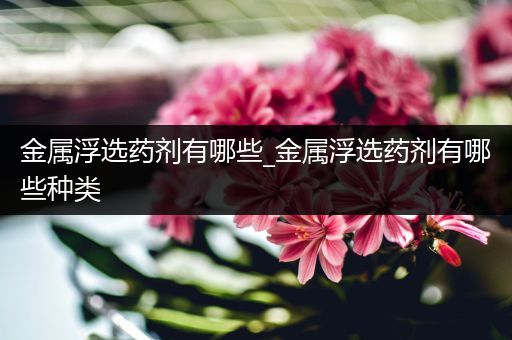 金属浮选药剂有哪些_金属浮选药剂有哪些种类