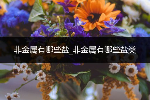 非金属有哪些盐_非金属有哪些盐类