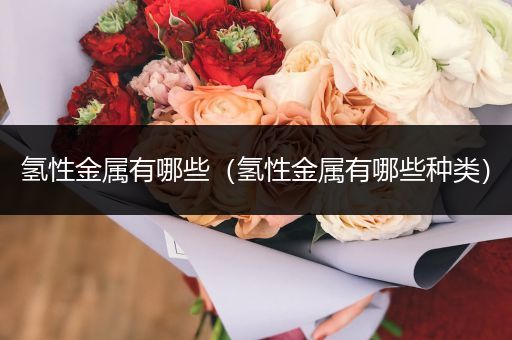 氢性金属有哪些（氢性金属有哪些种类）