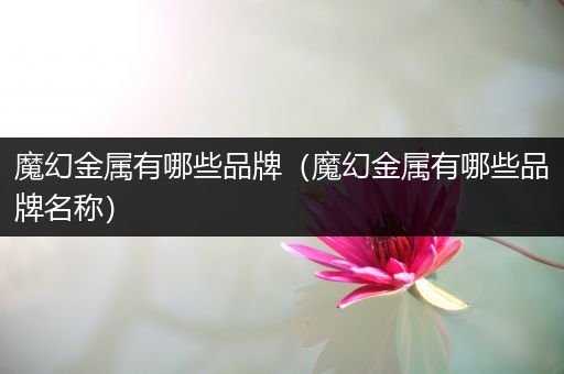 魔幻金属有哪些品牌（魔幻金属有哪些品牌名称）