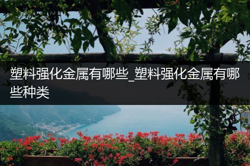 塑料强化金属有哪些_塑料强化金属有哪些种类
