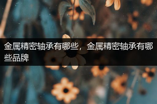 金属精密轴承有哪些，金属精密轴承有哪些品牌