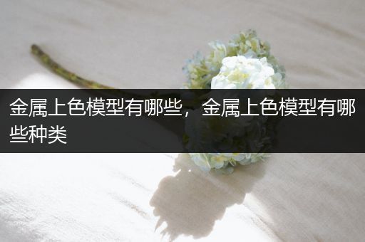 金属上色模型有哪些，金属上色模型有哪些种类