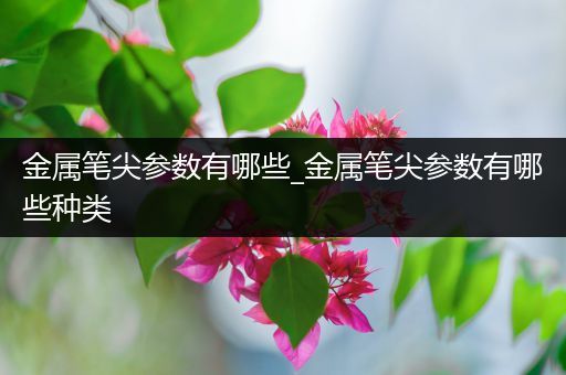 金属笔尖参数有哪些_金属笔尖参数有哪些种类