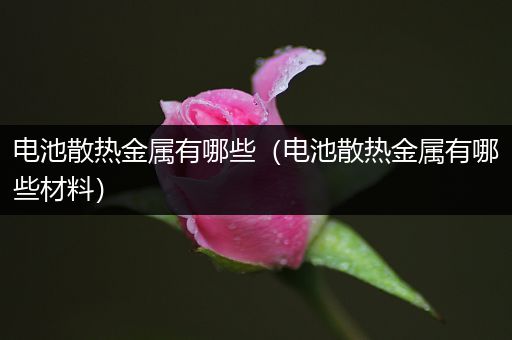 电池散热金属有哪些（电池散热金属有哪些材料）