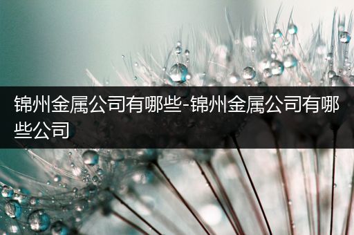 锦州金属公司有哪些-锦州金属公司有哪些公司