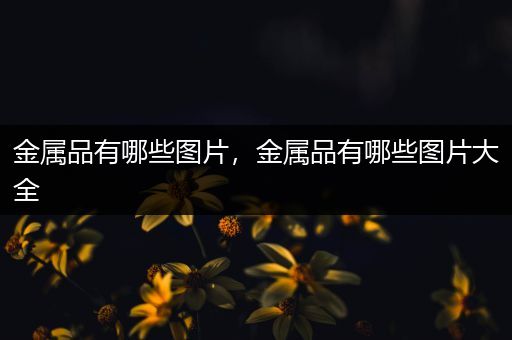 金属品有哪些图片，金属品有哪些图片大全
