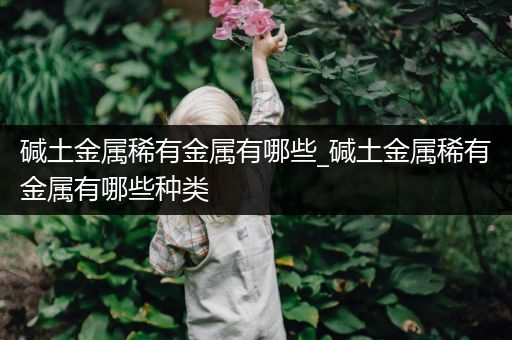 碱土金属稀有金属有哪些_碱土金属稀有金属有哪些种类