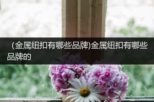 （金属纽扣有哪些品牌)金属纽扣有哪些品牌的