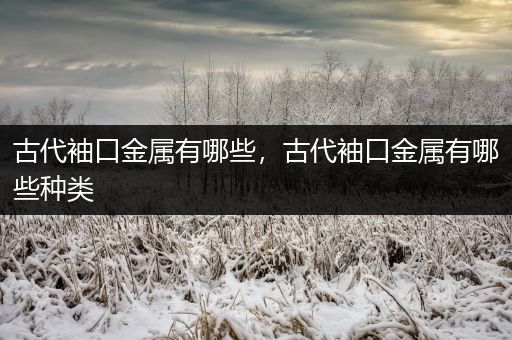 古代袖口金属有哪些，古代袖口金属有哪些种类