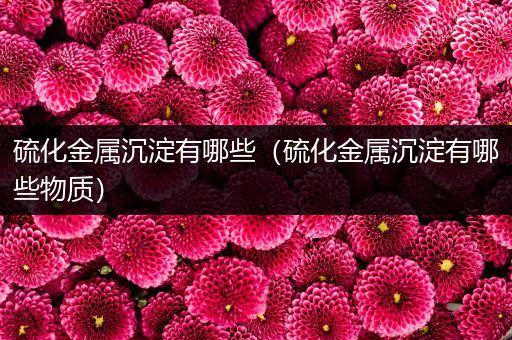 硫化金属沉淀有哪些（硫化金属沉淀有哪些物质）