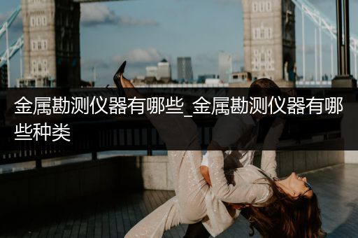 金属勘测仪器有哪些_金属勘测仪器有哪些种类
