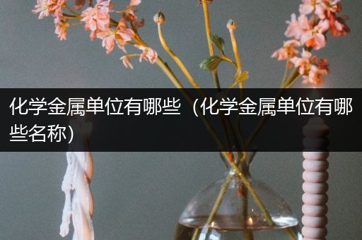 化学金属单位有哪些（化学金属单位有哪些名称）