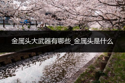 金属头大武器有哪些_金属头是什么