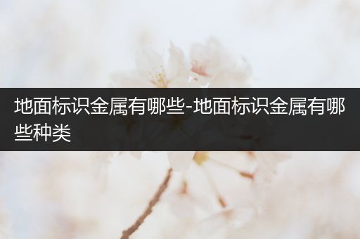 地面标识金属有哪些-地面标识金属有哪些种类