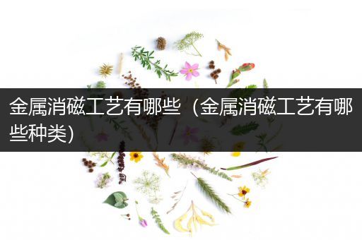 金属消磁工艺有哪些（金属消磁工艺有哪些种类）