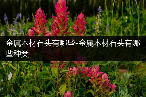 金属木材石头有哪些-金属木材石头有哪些种类