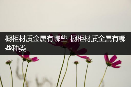橱柜材质金属有哪些-橱柜材质金属有哪些种类