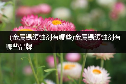 （金属锡缓蚀剂有哪些)金属锡缓蚀剂有哪些品牌