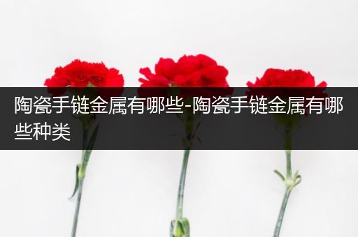 陶瓷手链金属有哪些-陶瓷手链金属有哪些种类