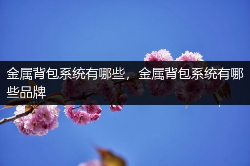 金属背包系统有哪些，金属背包系统有哪些品牌