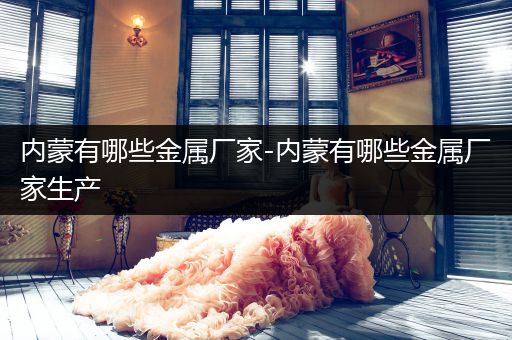 内蒙有哪些金属厂家-内蒙有哪些金属厂家生产