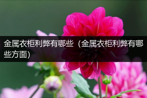 金属衣柜利弊有哪些（金属衣柜利弊有哪些方面）