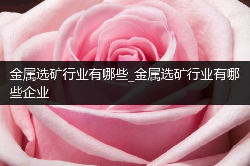金属选矿行业有哪些_金属选矿行业有哪些企业