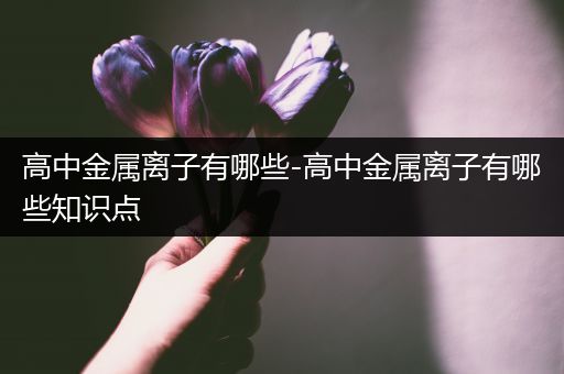 高中金属离子有哪些-高中金属离子有哪些知识点