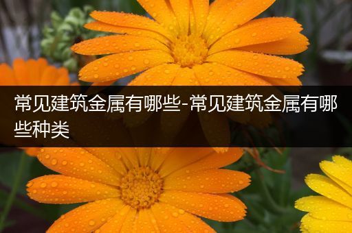 常见建筑金属有哪些-常见建筑金属有哪些种类