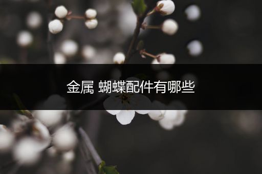 金属 蝴蝶配件有哪些