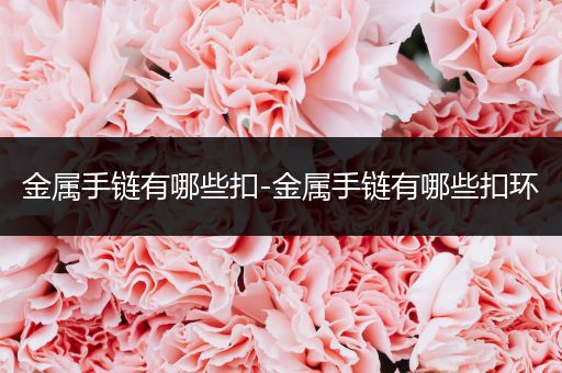 金属手链有哪些扣-金属手链有哪些扣环
