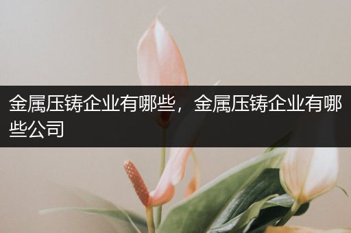 金属压铸企业有哪些，金属压铸企业有哪些公司