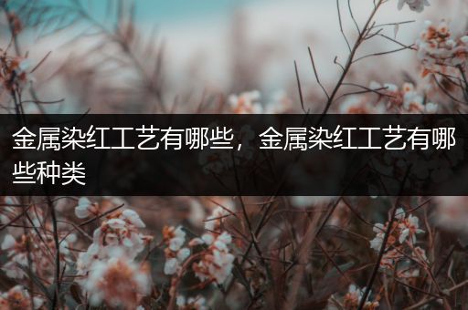 金属染红工艺有哪些，金属染红工艺有哪些种类