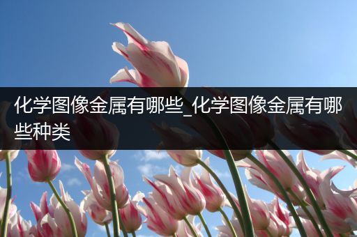 化学图像金属有哪些_化学图像金属有哪些种类