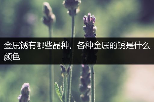 金属锈有哪些品种，各种金属的锈是什么颜色