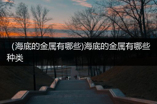 （海底的金属有哪些)海底的金属有哪些种类