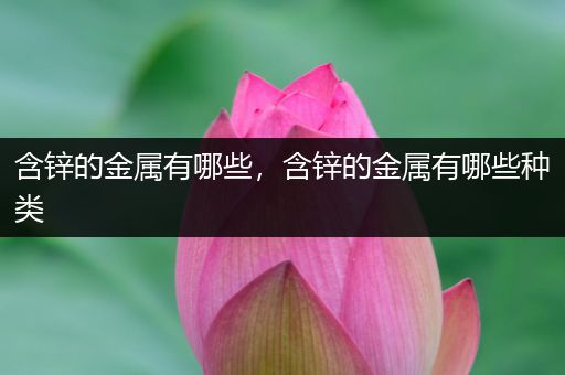 含锌的金属有哪些，含锌的金属有哪些种类