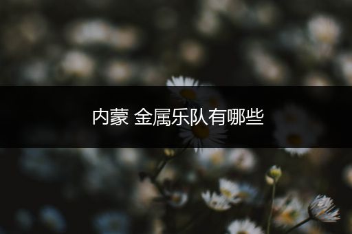 内蒙 金属乐队有哪些