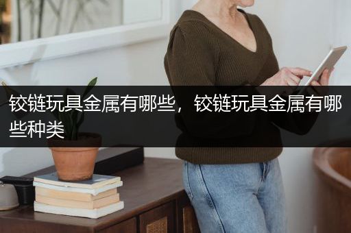 铰链玩具金属有哪些，铰链玩具金属有哪些种类