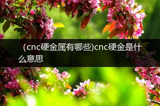 （cnc硬金属有哪些)cnc硬金是什么意思