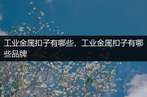 工业金属扣子有哪些，工业金属扣子有哪些品牌