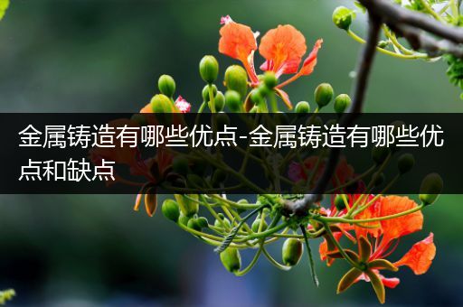 金属铸造有哪些优点-金属铸造有哪些优点和缺点