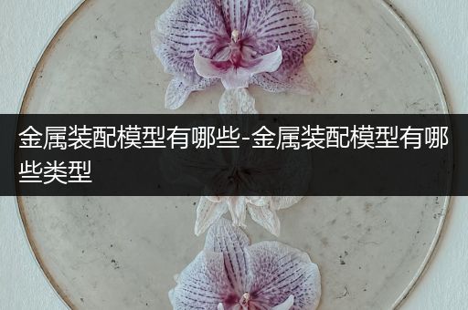 金属装配模型有哪些-金属装配模型有哪些类型