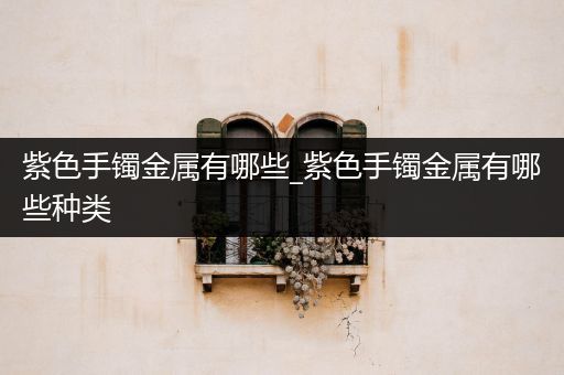 紫色手镯金属有哪些_紫色手镯金属有哪些种类